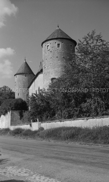 Château-fort (Manonville)